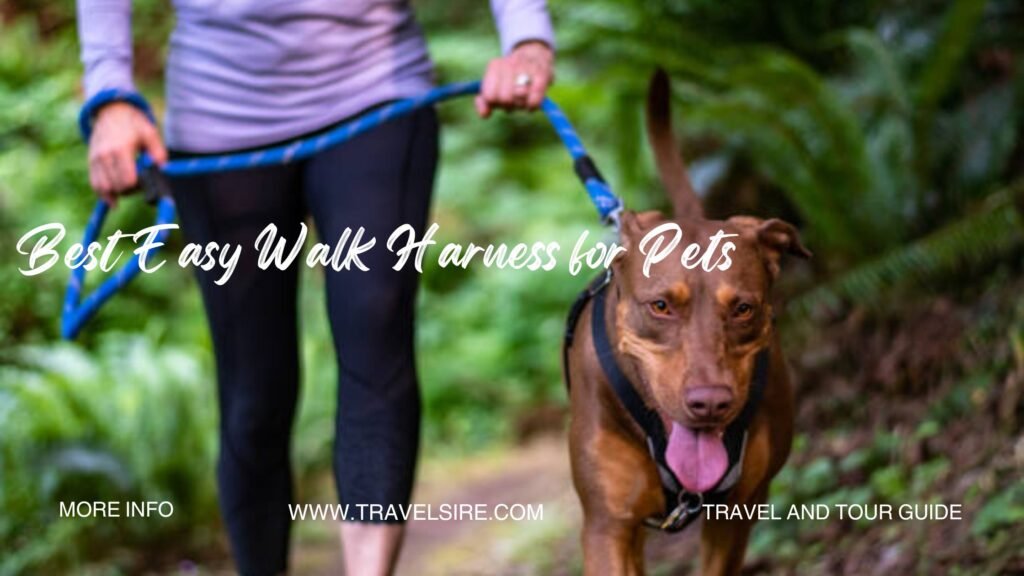 Best Easy Walk Harness for Pets 2 Travel Sire