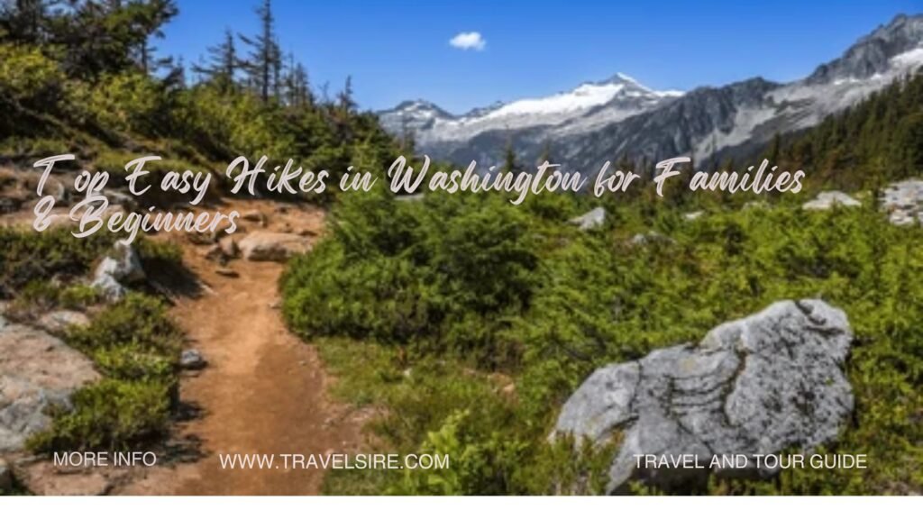 Top Easy Hikes in Washington for Families Beginners