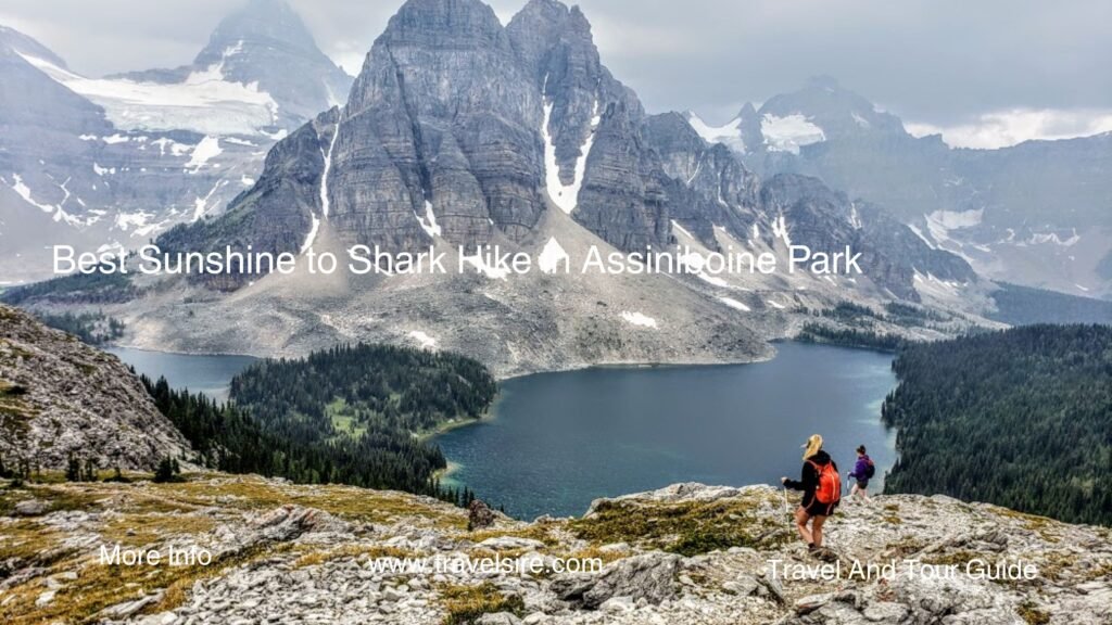 Best Sunshine to Shark Hike in Assiniboine Park Travel Sire