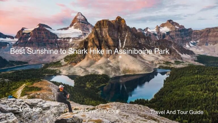 Best Sunshine to Shark Hike in Assiniboine Park