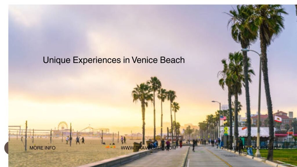 Unique Experiences in Venice Beach 2 Travel Sire