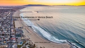 Unique Experiences in Venice Beach