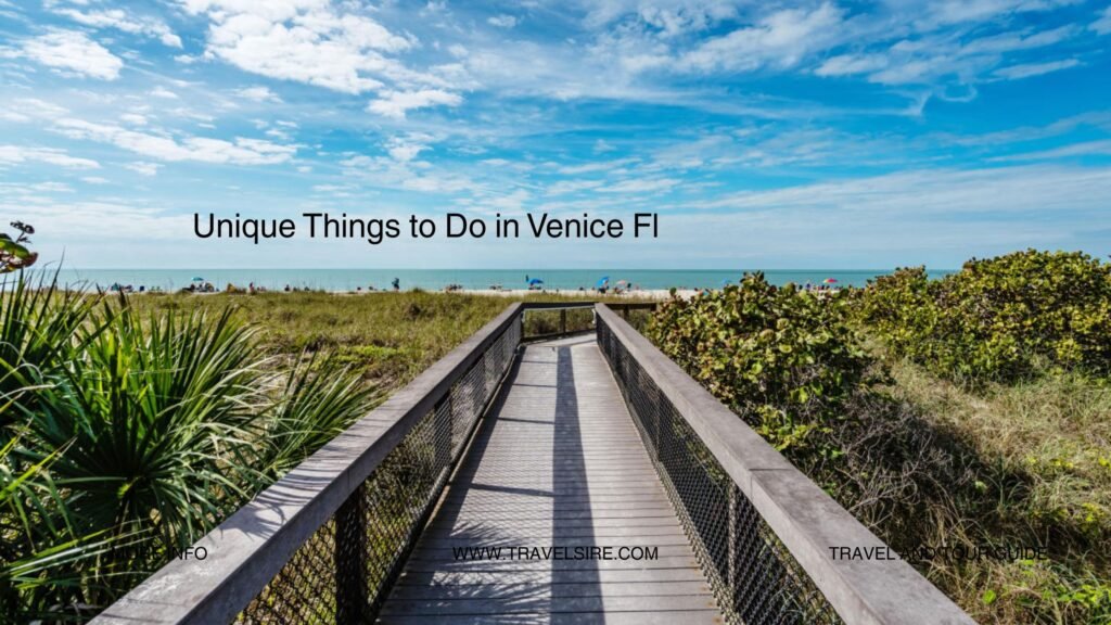 Unique Things to Do in Venice Fl Travel Sire