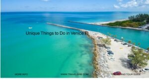 Unique Things to Do in Venice Fl