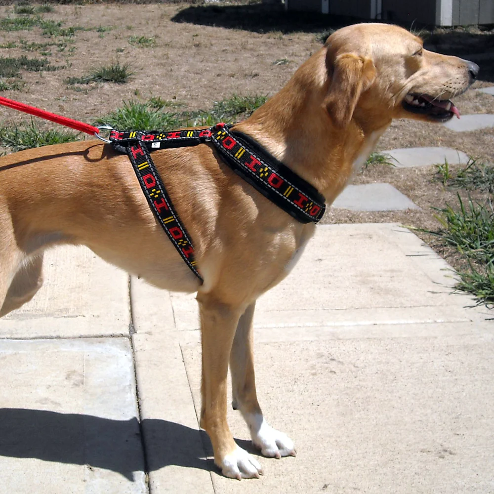 image Travel Sire Easy Walk Harness Guide